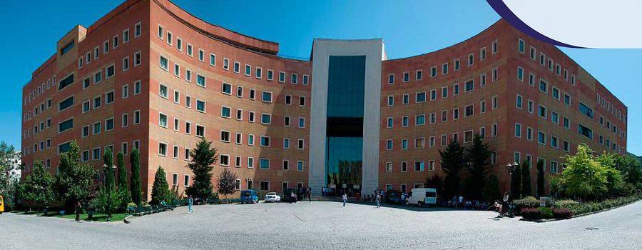 Yeditepe University campus